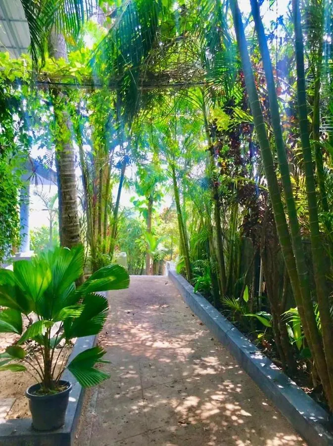 Petit Ana Beach Retreat Varkala India